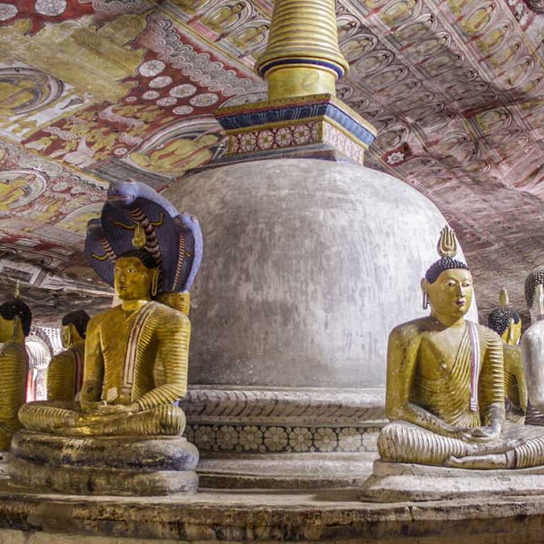 GoSouthAsia_-_Visit_Sri_Lanka_2_gQMFJX9l3z